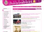  Musée napoléonien d'art et d'histoire militaire, Fontainebleau