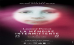 Laurent Pernot, La Mémoire intermittente, Installations vidéo au musée Mandet