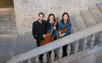 En Symétrie - cie Ensemble les timbres