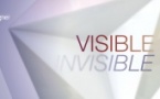 Visible / Invisible