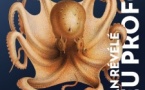 « Bleu Profond. L'océan révélé ». Peintures, photographies, sculptures et vidéos