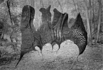 Paulette et Josef Ciesla. Embrûlure première Paulette et Josef Ciesla. Embrûlure première