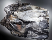 Jean-Marc Paubel. Sulamite II Jean-Marc Paubel. Sulamite II