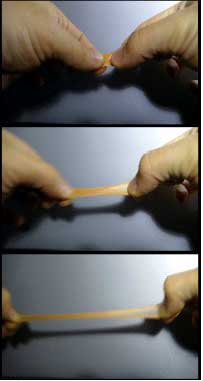 10 au 23 /12 > La Ménagerie de Verre de Tennessee Williams, Théâtre des Marronniers, Lyon 10 au 23 /12 > La Ménagerie de Verre de Tennessee Williams, Théâtre des Marronniers, Lyon