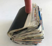 Anne Pesce, Agenda 2016 Anne Pesce, Agenda 2016