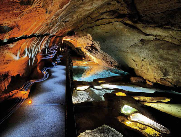 La grotte de la Cocalière (Gard) célèbre cette année ses 50 ans - 50 milles lieux sous la terre !