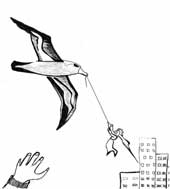 27 au 31/01 <> Albatros, De Fabrice Melquiot. Mise en scène Akel Akian. Création du Théâtre de la Mer, Marseille 27 au 31/01 <> Albatros, De Fabrice Melquiot. Mise en scène Akel Akian. Création du Théâtre de la Mer, Marseille