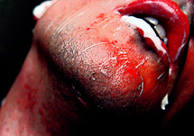 24 février au 8 mars, Quartett au Théâtre du Grütli à Genève 24 février au 8 mars, Quartett au Théâtre du Grütli à Genève