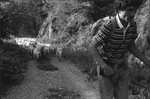 Avril et mai, Transhumance, Photographies Michel Ayrault à la Galerie Noir & Blanc, Saint-Etienne Avril et mai, Transhumance, Photographies Michel Ayrault à la Galerie Noir & Blanc, Saint-Etienne
