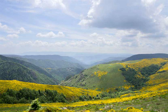 Monts d’Ardèche, Le partage des eaux