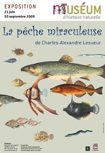 21 juin – 20 septembre, La pêche miraculeuse de Charles–Alexandre Lesueur, Museum d’histoire naturelle du Havre