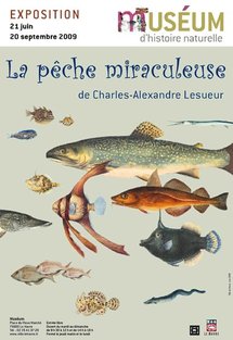 21 juin – 20 septembre, La pêche miraculeuse de Charles–Alexandre Lesueur, Museum d’histoire naturelle du Havre 21 juin – 20 septembre, La pêche miraculeuse de Charles–Alexandre Lesueur, Museum d’histoire naturelle du Havre