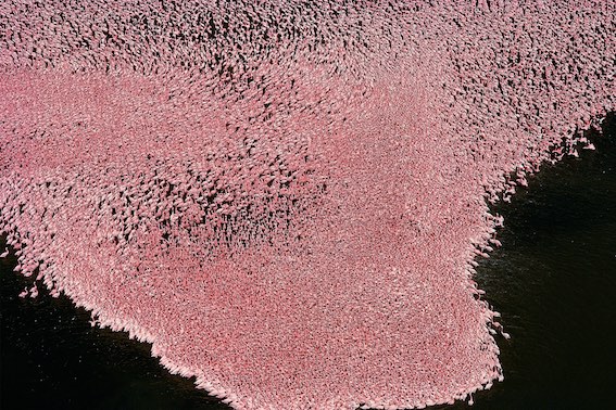 © Yann Arthus-Bertrand