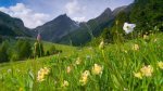 29 septembre. Le 1er Baromètre Nature dans les Pays de Savoie à Chambéry
