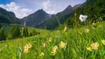 29 septembre. Le 1er Baromètre Nature dans les Pays de Savoie à Chambéry 29 septembre. Le 1er Baromètre Nature dans les Pays de Savoie à Chambéry