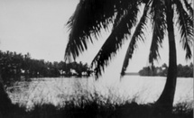 Rivage, photographie : Henri Matisse Polynésie Française, 1930 Tirage argentique, Photothèque du centre de documentation Musée Matisse, Nice, Photo Archives Matisse. Rivage, photographie : Henri Matisse Polynésie Française, 1930 Tirage argentique, Photothèque du centre de documentation Musée Matisse, Nice, Photo Archives Matisse.