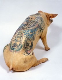Wim Delvoye, Love, 2005 - Cochon tatoué et empaillé, 120 x 48 x 64 cm - Coll. privée, © ADAGP, Paris, 2009 Wim Delvoye, Love, 2005 - Cochon tatoué et empaillé, 120 x 48 x 64 cm - Coll. privée, © ADAGP, Paris, 2009