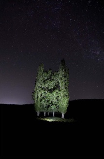 Benjamin Just Benjamin Just