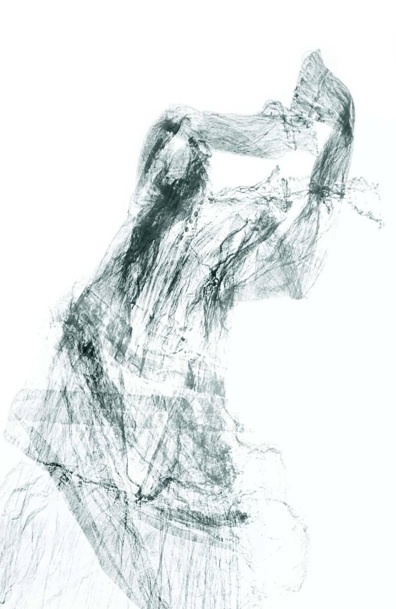 Promesses Raiponces 4 Monotype encre sur papier japon, 140 x 90cm Promesses Raiponces 4 Monotype encre sur papier japon, 140 x 90cm