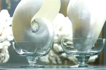 Flavio Favelli, Museum, 2007 Courtesy Fondazione Sandretto Re Rebaudengo, Torino Flavio Favelli, Museum, 2007 Courtesy Fondazione Sandretto Re Rebaudengo, Torino