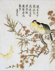 23 Avril au 31 Juillet 2010, Fleurs et oiseaux de Chine au Musée des arts asiatiques de Toulon