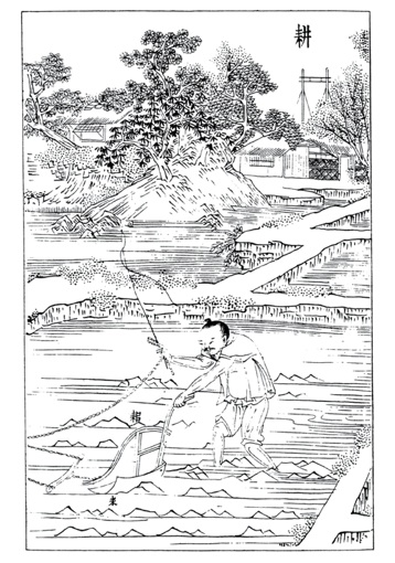 Planche d’encyclopédie, détail Planche d’encyclopédie, détail