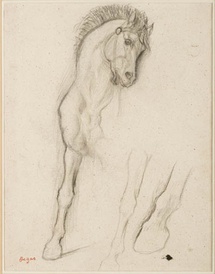 Edgar Degas, Cheval étude pour Alexandre et Bucéphale, 1859-1861, crayon noir.  Collection SENN. Musée Malraux, ville du Havre-© Florian Kleinefenn