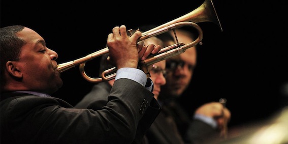 Wynton Marsalis © DR