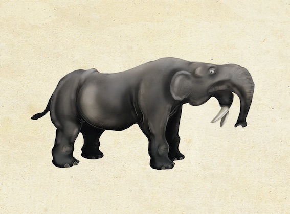 Mastodonte. © Palais de l’Univers et des Sciences de Dunkerque Mastodonte. © Palais de l’Univers et des Sciences de Dunkerque