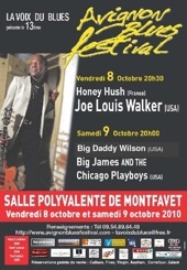 8 et 9.10.10 : 13ème édition d'Avignon Blues Festival