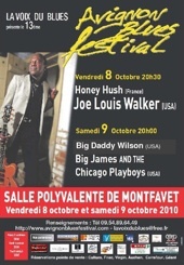 8 et 9.10.10 : 13ème édition d'Avignon Blues Festival 8 et 9.10.10 : 13ème édition d'Avignon Blues Festival