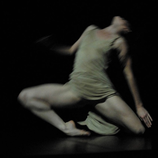 18.11.10 : « El canto de despedida » et « Mariana ». Compagnie Maryse Delente, l'Odyssée, Périgueux