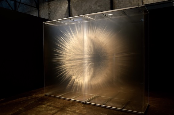 Vision © David Spriggs