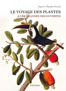 Rayol Canadel sur mer, Domaine du Rayol : exposition « Le voyage des plantes & les Grandes Découvertes » du 18 octobre au 25 novembre 2018