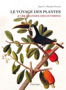 Rayol Canadel sur mer, Domaine du Rayol : exposition « Le voyage des plantes & les Grandes Découvertes » du 18 octobre au 25 novembre 2018