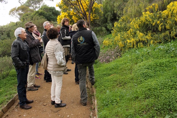 Rayol Canadel sur mer, « L’Odyssée des mimosas » au Domaine du Rayol Rayol Canadel sur mer, « L’Odyssée des mimosas » au Domaine du Rayol