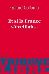 « Et si la France s’éveillait… » sur internet ! Parution du livre de Gérard Collomb