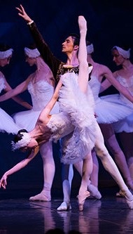 Tournon, Ciné-Théâtre : Le lac des cygnes, dimanche 13 janvier 2019 Tournon, Ciné-Théâtre : Le lac des cygnes, dimanche 13 janvier 2019