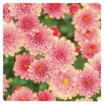 Le Doubs : toute une saison d'expositions ! Agenda des expositions 2019 Le Doubs : toute une saison d'expositions ! Agenda des expositions 2019