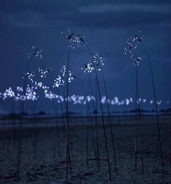 Yann Kersalé. Mise en abîme n°3 Dorsale des Vents Installation/captation in-situ - Le Sillon dans le mirroir Le Sillon noir à Pleubian, Côtes d’Armor. À Kenneth White Yann Kersalé. Mise en abîme n°3 Dorsale des Vents Installation/captation in-situ - Le Sillon dans le mirroir Le Sillon noir à Pleubian, Côtes d’Armor. À Kenneth White