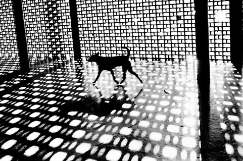 © Christopher Anderson © Christopher Anderson
