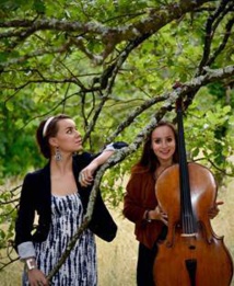 Romans (26) : Je dis musik’, Le romantisme allemand Romans (26) : Je dis musik’, Le romantisme allemand