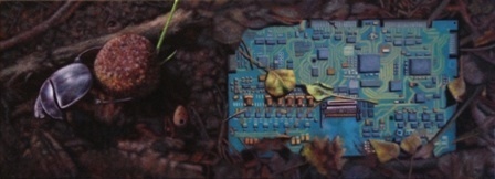ACT 14 - dung beetle on microcity - morocco/hungary, 2011. Huile sur toile. 20 x 55 cm. Courtesy Gal. Frank Elbaz ACT 14 - dung beetle on microcity - morocco/hungary, 2011. Huile sur toile. 20 x 55 cm. Courtesy Gal. Frank Elbaz