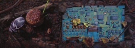 ACT 14 - dung beetle on microcity - morocco/hungary, 2011. Huile sur toile. 20 x 55 cm. Courtesy Gal. Frank Elbaz