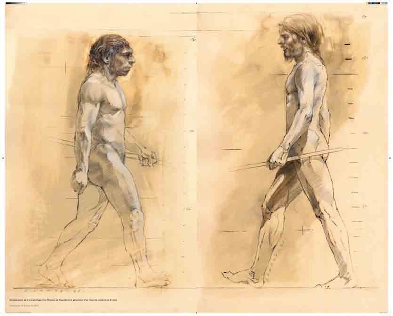 Comparaison de la morphologie de l’Homme moderne (gauche) et Homme de Néandertal (droite) © DR