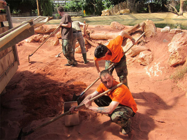 Ramassage des oeufs © Ferme aux Crocodiles Ramassage des oeufs © Ferme aux Crocodiles
