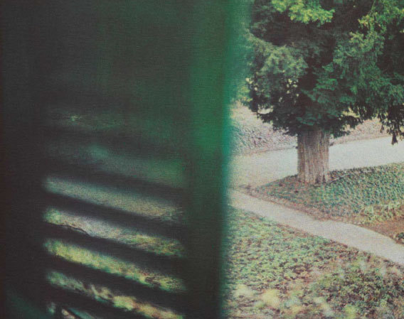 Jardin-vu-de-la-chambre-de-Claude-Monet,-Giverny,-hiver-2010-©-Bernard-Plossu Jardin-vu-de-la-chambre-de-Claude-Monet,-Giverny,-hiver-2010-©-Bernard-Plossu