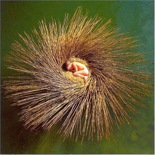 Nils-Udo. Nid d’eau CD EVE – Peter Gabriel Nils-Udo. Nid d’eau CD EVE – Peter Gabriel