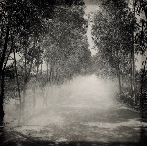 L’Odeur de la nuit était celle du jasmin, 2018 © Flore L’Odeur de la nuit était celle du jasmin, 2018 © Flore