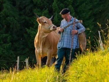 La « Campagne » à la Montagne sur le territoire du Vercors : à la découverte des fermes et du pastoralisme La « Campagne » à la Montagne sur le territoire du Vercors : à la découverte des fermes et du pastoralisme